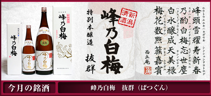 峰乃白梅抜群特別本醸造