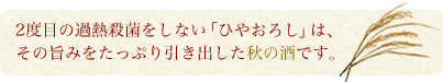 すすきの美人 純米酒 ひやおろし